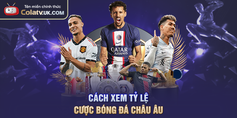 Cách xem tỷ lệ cược bóng đá châu Âu